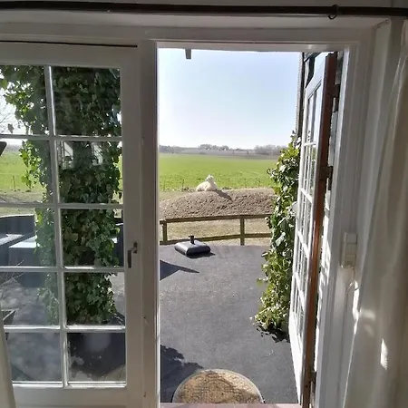 Byens Rareste Bed and Breakfast *