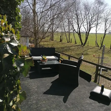 Byens Rareste Harlev (Stevns)