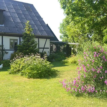 Byens Rareste Bed and Breakfast Harlev (Stevns)