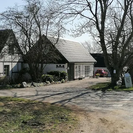 Byens Rareste Harlev (Stevns)